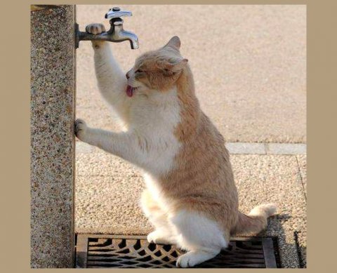 Наиболее важные новости недели 9-11 марта 2022 года