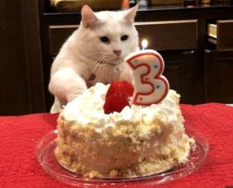 Налогообложение цифровых финансовых активов принято в первом чтении