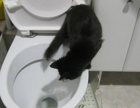 До завершения проверки качества выполнения задания, если она нужна, АЗ не датируется