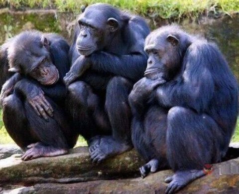 Какие решения организации следует заверять у нотариуса, пишет «Налоговая политика и практика»