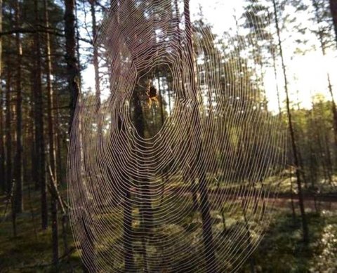 При частичной предоплате в сети Минфин разрешил оформлять только один кассовый чек