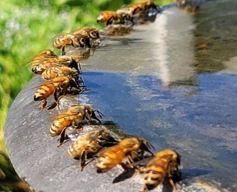 Как влияет количество совместителей на перспективу налоговых льгот для IT-фирмы