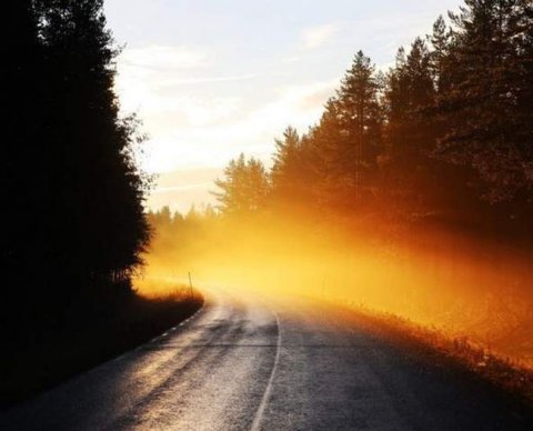 Госдума приняла законы о праве правительства продлевать сроки уплаты налогов