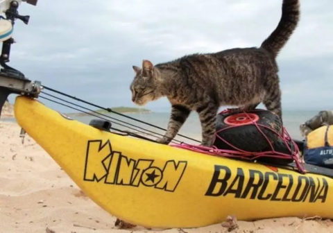 Минфин готов вернуться к рассмотрению предложения о снижении НДС для туристической отрасли