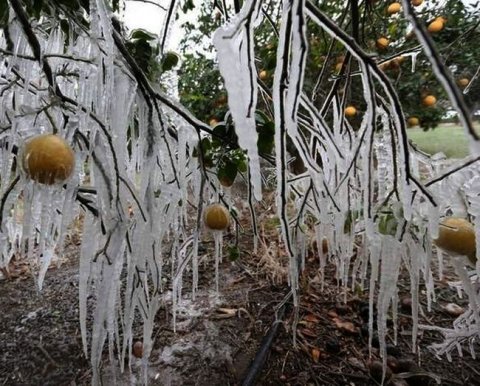 Налоговики прошлёпали платежку и заморозили счета фирмы - но наказать их рублем не вышло