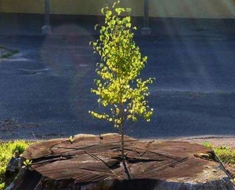 4 мая истекает срок сдачи 6-НДФЛ и РСВ за I квартал 2022 года