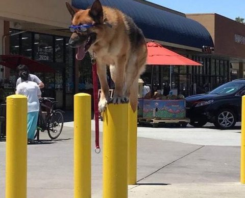 Новый критерий для признания сделок контролируемыми охватывает весь 2022 год