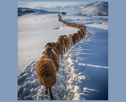 Минфин назвал 83 случая обязательного аудита отчетности за 2021 год