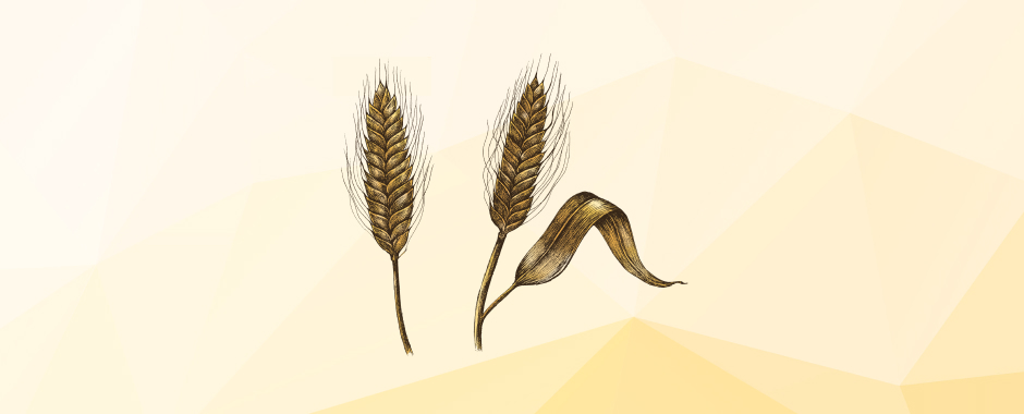 Итоги сельскохозяйственной отрасли от Минсельхоз РФ