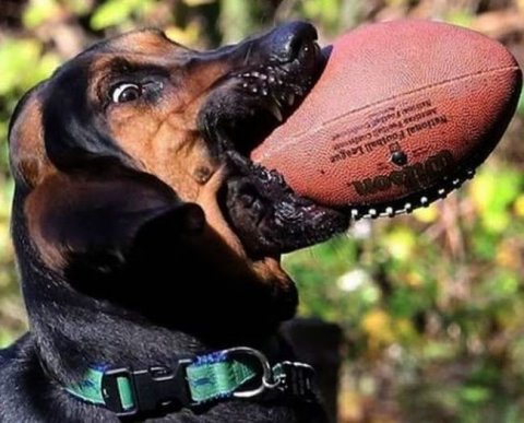 Минфин разъяснил, когда с выплат в адрес предпринимателей придется удержать НДФЛ