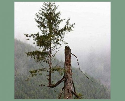 Даниил Егоров рассказал, что ФНС делает для бизнеса, и как власти поддержат граждан