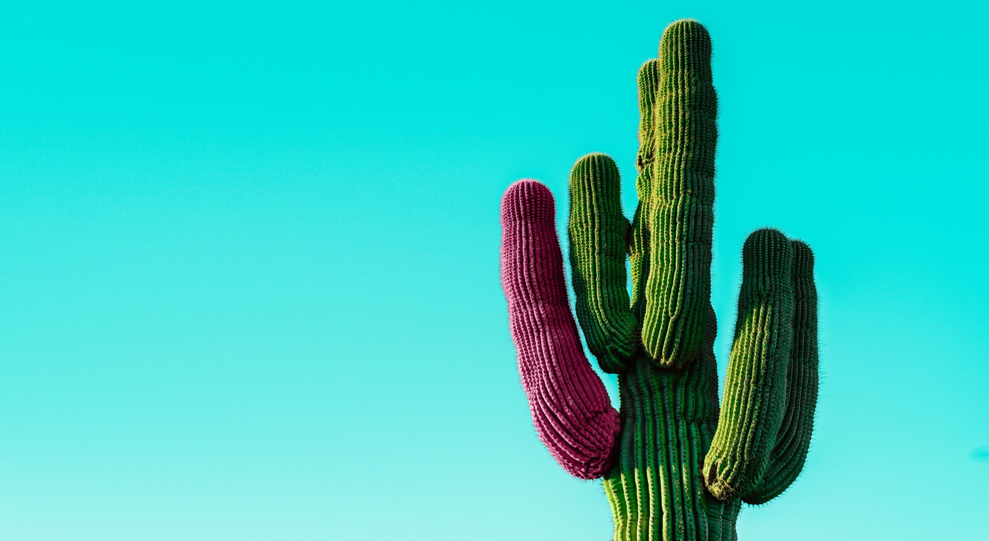 Равноправие и кодинг. Чем чреваты гендерные квоты в IT?