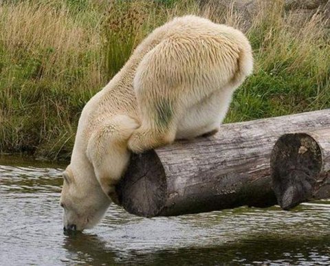 В ГК пропишут, какие аудиторы могут проверять ООО и АО