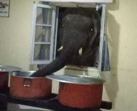 Не надо вписывать компенсацию медосмотра в состав зарплаты - Росстат