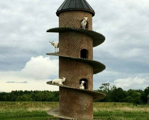 Принимая условную плату за аренду, следует применять ККТ