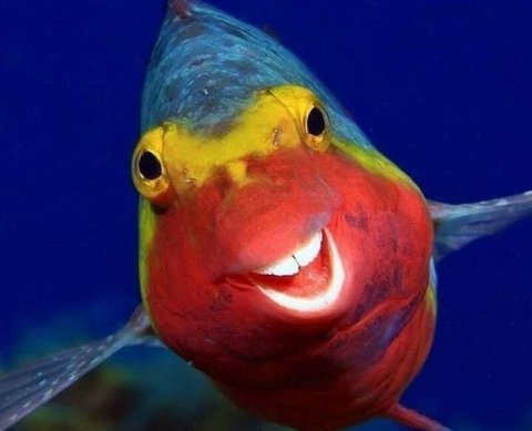 Закон с пакетом антикризисных налоговых мер подписан президентом