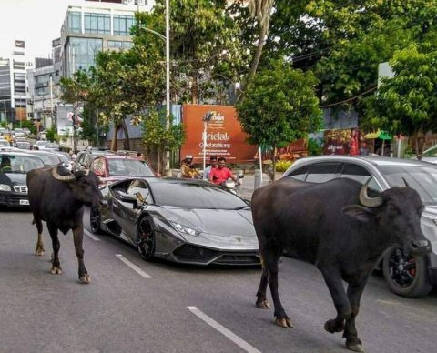 Фирмам дали уникальную возможность выбить налоговиков из колеи, загрузив их работой