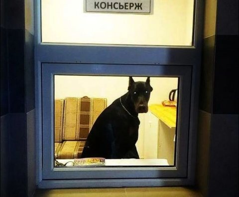 ВС поддержал частичное взыскание индексации пенсии с работодателя, опоздавшего с СЗВ-М