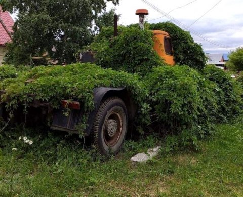 "Рос" в названии фирмы не позволено, даже если это аббревиатура трех слов полного наименования