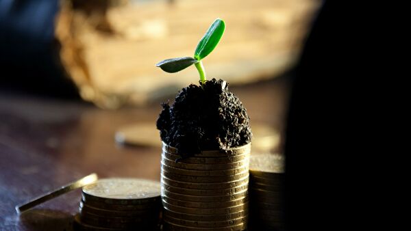 Эксперт назвал четыре стратегии инвестиций