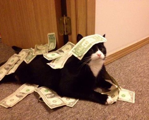 В личных кабинетах налогоплательщиков-физлиц появились данные о процентах по вкладам