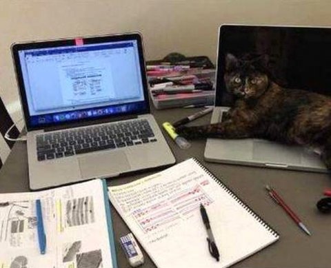 Новые форматы электронной первички: ФНС обещает к концу года +13 видов документов