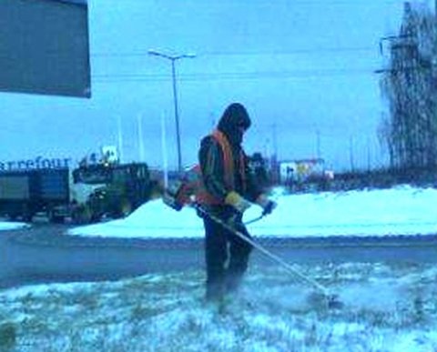 Продление нерабочих дней в регионе не сдвигает срок уплаты налогов организациями