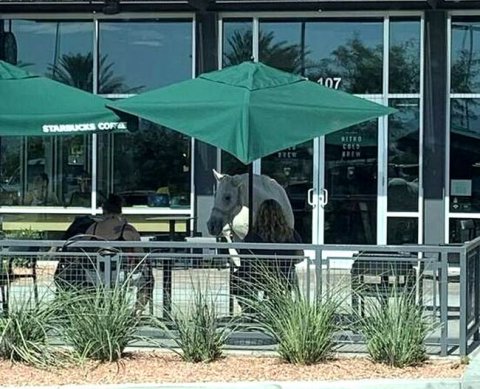 Для проверки ККТ в этом году не нужно риска наступления сверх-серьёзных последствий