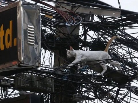 Правительство снизит налоги для занимающихся перекладкой коммуникаций компаний