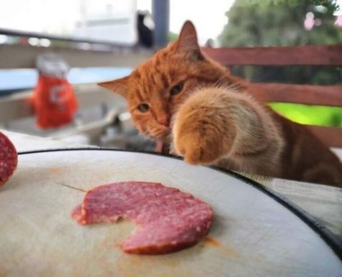 На эту неделю запланировано три онлайн-мероприятия для аудиторов. Первое - завтра ни свет ни заря!