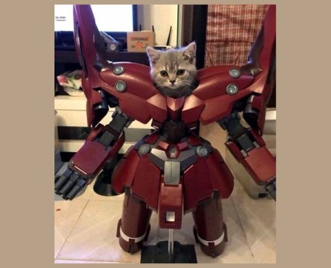 НДС с передачи по франшизе прав на изобретения отменен - закон подписан