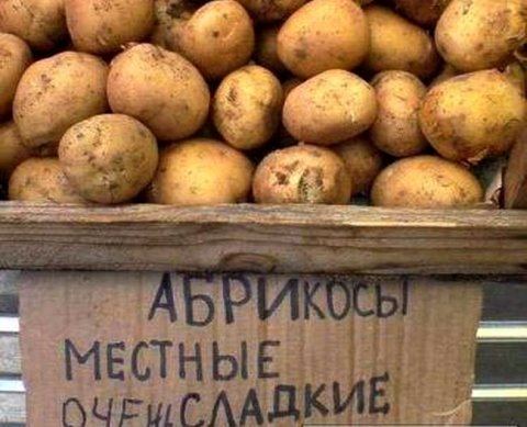 Чтобы избежать применения ККТ на рынке, фирма или ИП может срочно перейти на ЕСХН