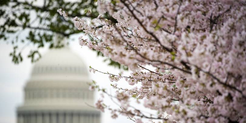 Bain Capital планирует продать японского оператора курортов за $1 млрд