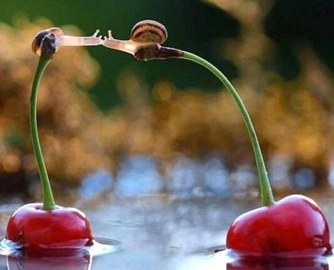 Результаты II этапа аудиторского экзамена, проводимого ЕАК, может зачесть АССА