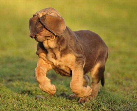 ФНС не сдаст: сведения, полученные в рамках контрольных мероприятий - налоговая тайна