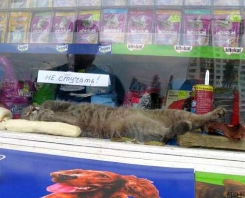 Кассира взяли на время - ему нужен свой аккаунт. Чужая фамилия в чеке приводит к штрафу