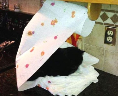 ФНС назвала случай, когда при УСН декларацию по НДС можно подать на бумаге