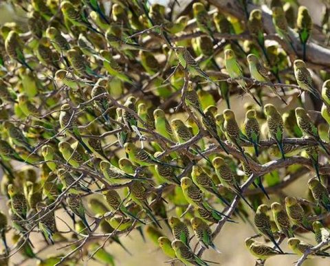 Как заполнять статформу со сведениями о численности и зарплате