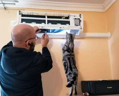 Прослеживаемый товар используется при выполнении работ: как оформить счет-фактуру