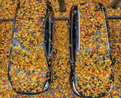 Для многих производств и сферы услуг срок уплаты налога по УСН продлен на полгода