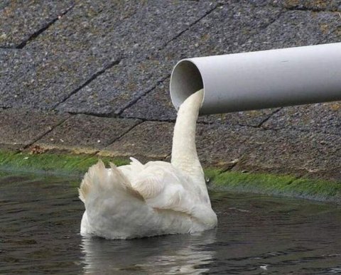 Завтра (23-го) и 25 марта пройдут два вебинара СРО ААС, посвященных бухучету