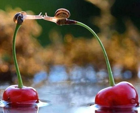 Обновленная программа разработки ФСБУ утверждена приказом