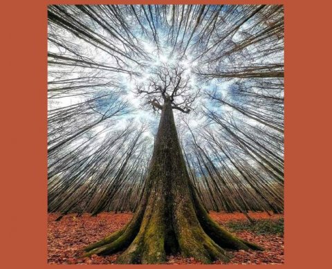 Ежегодное взятие аудиторскими ОЗО-организациями справок в ОВД закреплено приказом