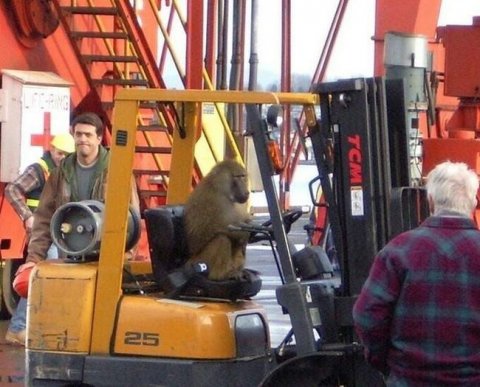 Путин предложил отсрочить уплату страхвзносов для тех, кто работает на внутренний рынок