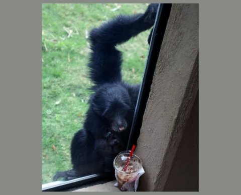 Кабмин открыл "одно окно" для участников внешнеэкономической деятельности