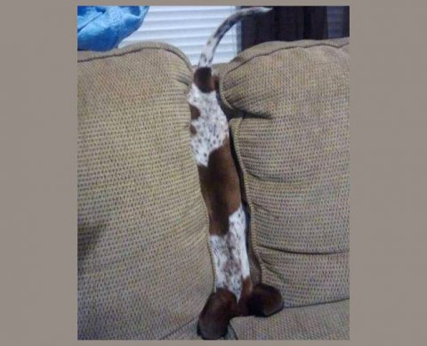 Соглашение ЕАЭС об аудиторской деятельности: что изменится для российского аудита