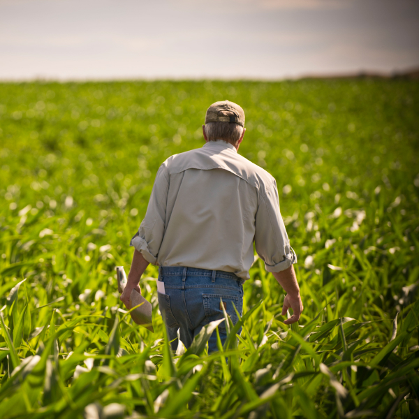 Льготы аграрии