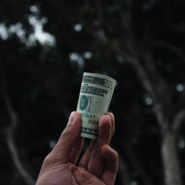 Курс поднялся с января 