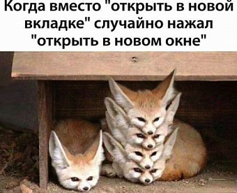 Какие сведения каждая аудиторская организация должна раскрывать на своем сайте