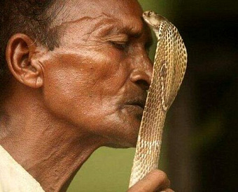 ФСС выпустил памятку о присвоении тарифов на "несчастное" соцстрахование